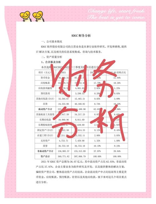 撰写财务分析报告的方法与技巧：如何高效完成优秀财务分析报告