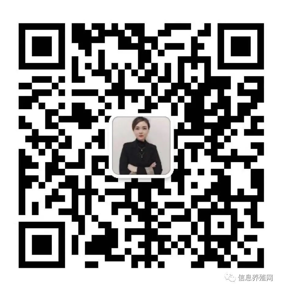 下半年猪价走势_猪价走势k线图_猪价格的走势