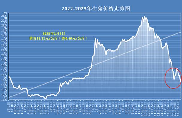今年上半年猪价大幅下跌，下半年猪价走势究竟如何？