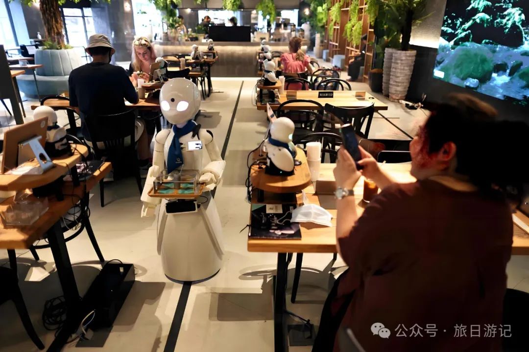餐厅服务机器人价格_餐厅机器价格服务人员是谁_餐厅服务机器人介绍