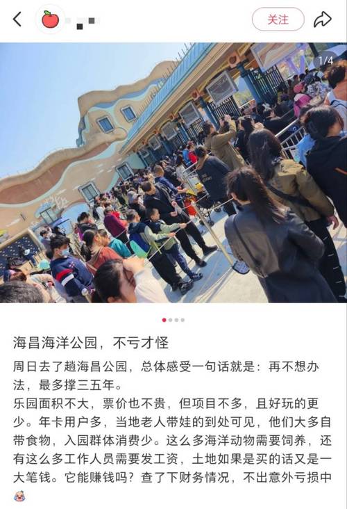 龙头股份在上海有哪些地块_上海本地龙头股_上海本地龙头股票一览表