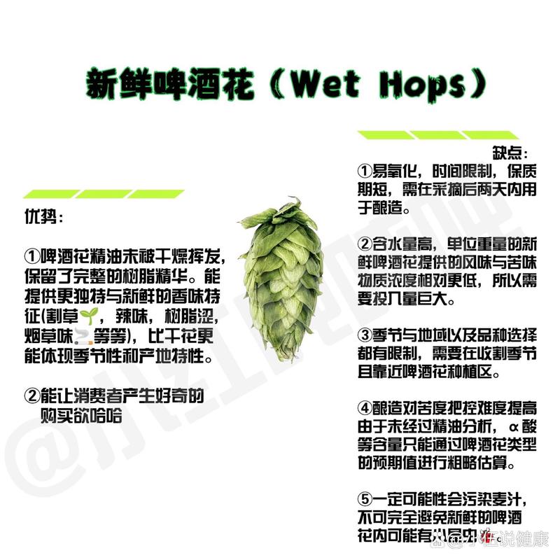 *ST济堂股票退市风险_啤酒花股票行情查询_啤酒花股票上市信息
