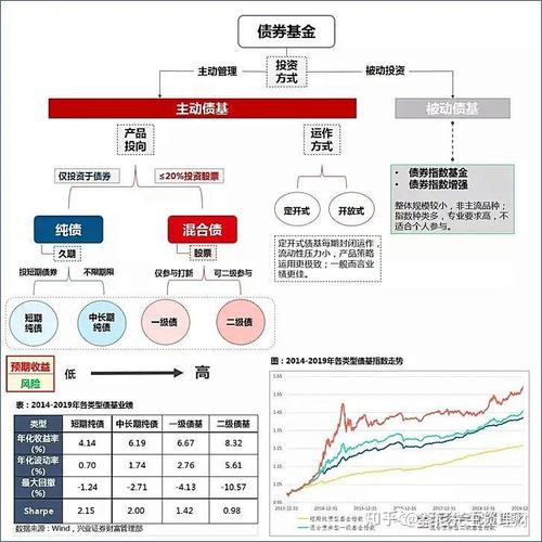 详细介绍短债基金投资风险，包含市场、信用等多种风险
