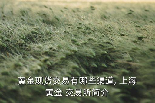 黄金现货交易有哪些渠道, 上海 黄金 交易所简介