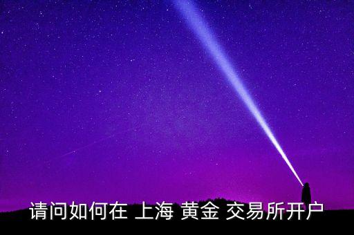 请问如何在 上海 黄金 交易所开户
