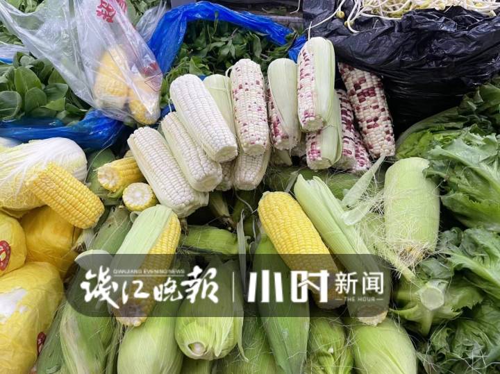 查询昨天菜市场价格_杭州蔬菜供应情况_杭州农贸市场蔬菜价格