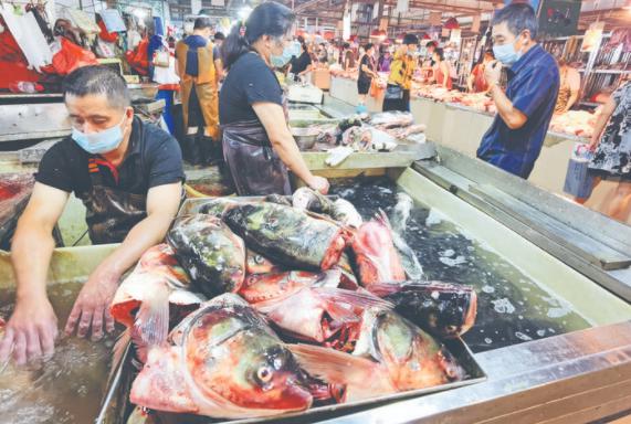 东海开渔10多天，丽水市场海鲜供应稳定价格趋平稳