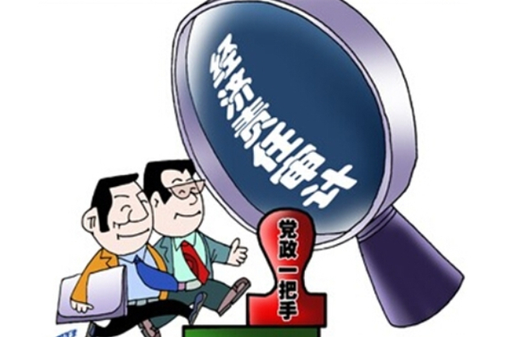 审计计划一般包括?_领导干部经济责任审计对象_党政领导干部经济责任审计规定