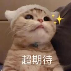 成都产前检查费可报销？条件、申请及报销额度全知道