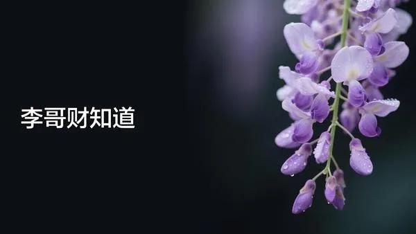 公司实收资本能退吗_股权转让节税策略_节税避税技巧