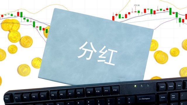 分红可持续性价值投资逻辑_机构持仓多的股票好吗_A股高分红价值投资长期持有