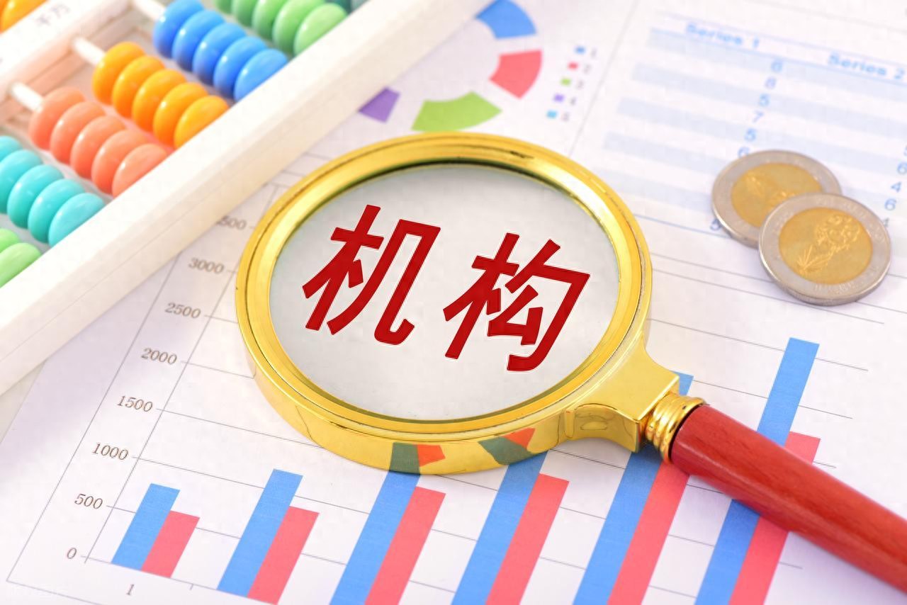 资本市场中专业投资机构作用几何？机构投资者角色多维性探讨