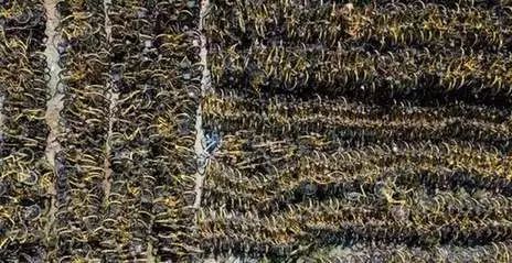 共享单车押金退押金难 扣车抵债违法 法律风险_以车抵债需要写协议吗