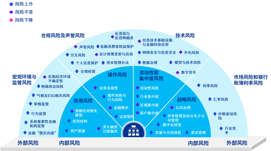 我国商业银行风险管理的现状、问题与完善：风险界定、特点及对策
