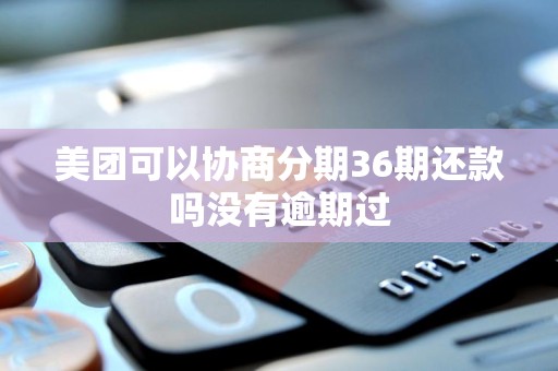 美团可以协商分期36期还款吗没有逾期过