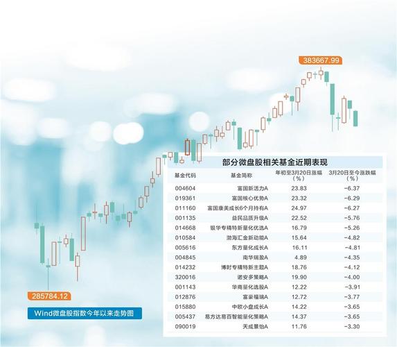 退市新规影响微盘股_微盘股回调原因分析_股票投资价值分析模板