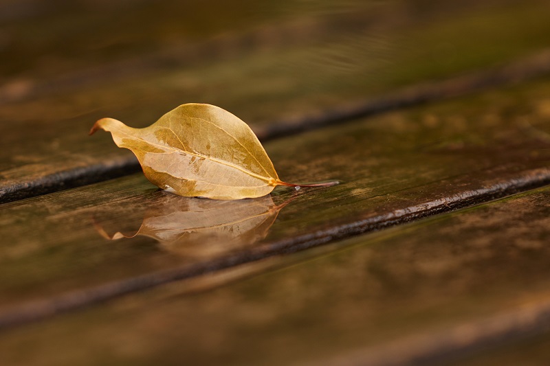 在线教育用户规模增长趋势_在线教育类app的影响_在线教育行业现状分析