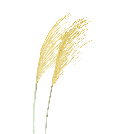 在线教育类app的影响_在线教育用户规模增长_在线教育数据合规风险