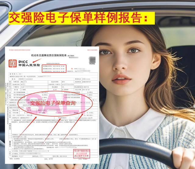 交强险电子保单查询方法_平安保险有单号查询_微信小程序交强险查询