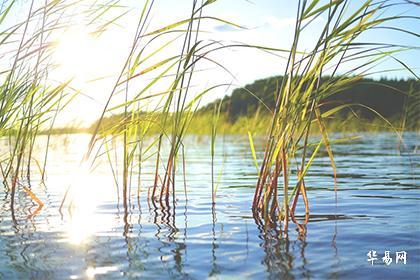 拥有一个好的命宫意味着什么？女人最适合哪个命宫？