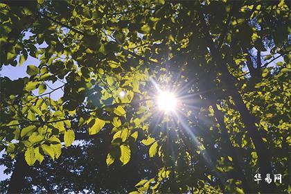 行业定投是什么意思_定投什么行业好_定投属于什么