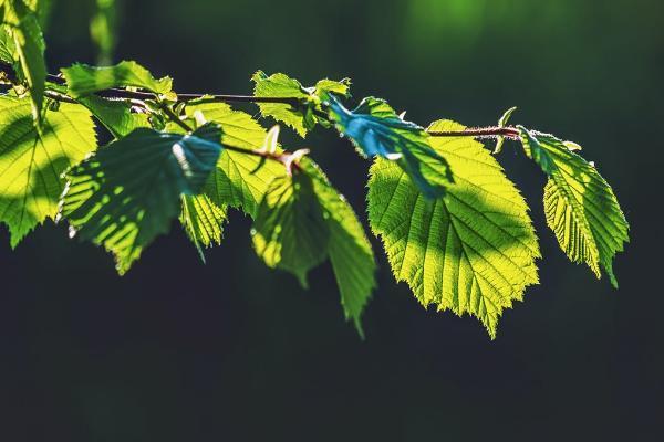 国寿长久呵护意外伤害费用补偿医疗保险