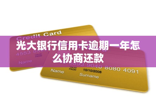 光大银行信用卡逾期一年咋协商还款？亲身经历分享