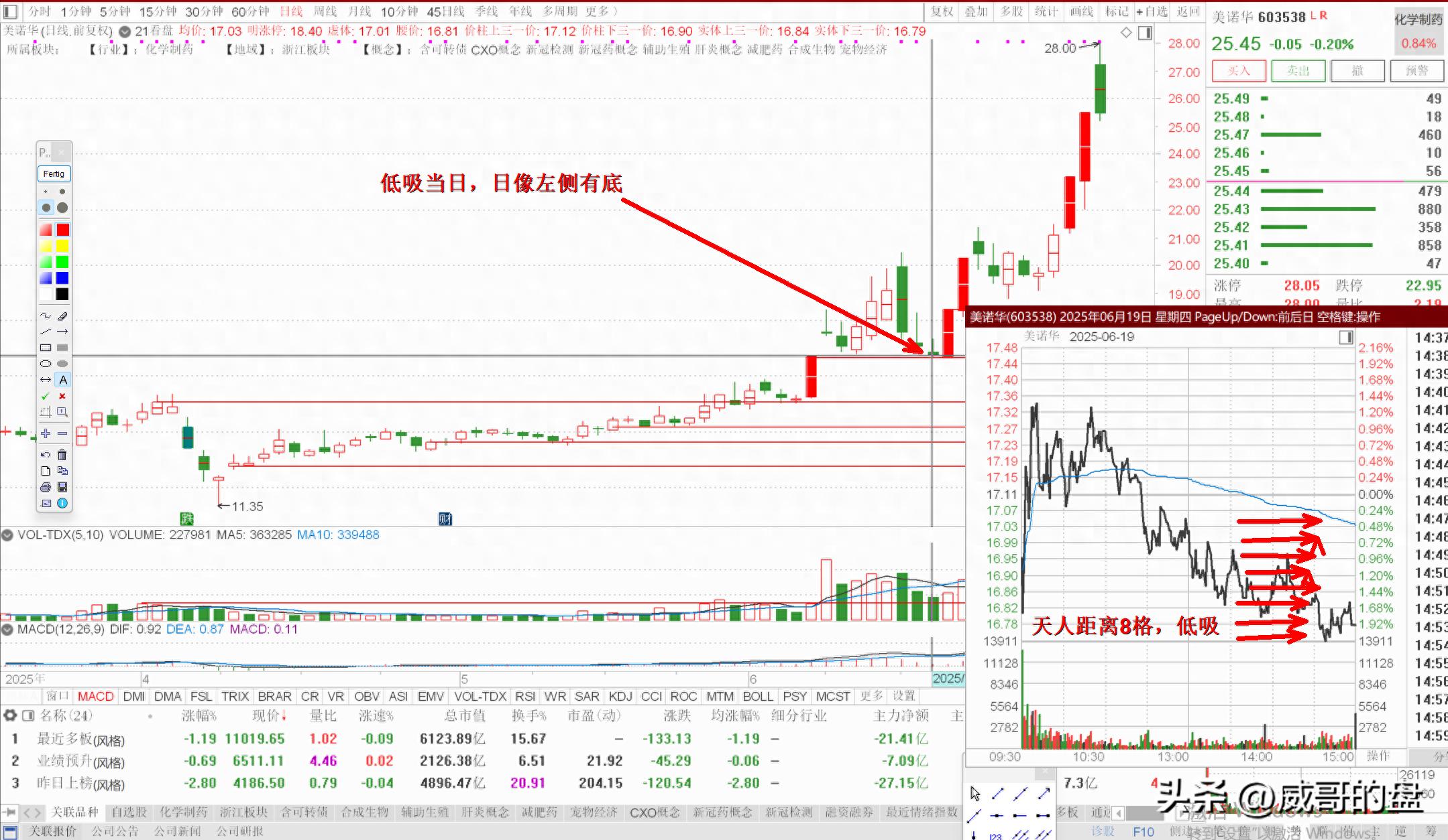 新手炒股稳赚不赔？分时高抛低吸做T的实战要点与注意事项