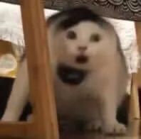 隐私保护模式_微信输入法_比达咨询 手机输入法市场份额