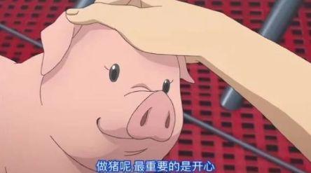 国内油价高的原因剖析，与国际油价及汽油税率有关