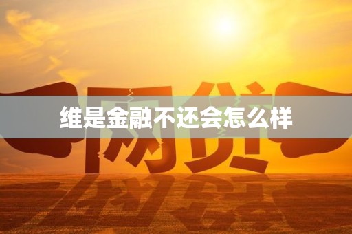 维是金融贷款不还的后果，个人信用受损和催收压力大