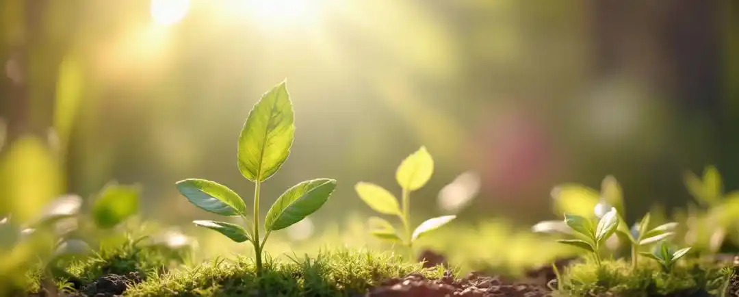 2026金融行业生存战背景及应对策略，关乎从业者发展