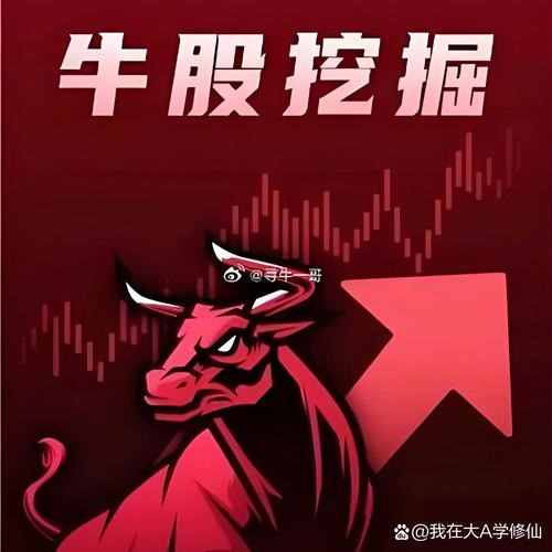 算力涨停后，南兴装备股价被严重低估？