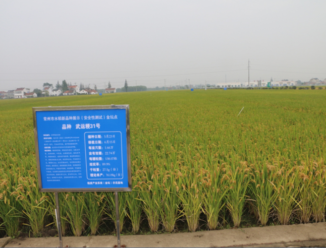 大豆产业进口依赖度分析_农业种子板块股票有哪些_农业板块主题投资机会