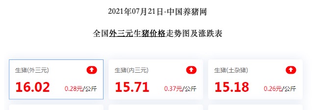 猪肉价格回暖对上市公司影响_新希望股票最高价是多少_A股养猪上市公司业绩下滑