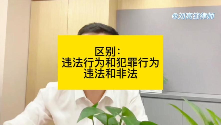 非法行为定义_非法推荐股票判几年_非法与违法的区别