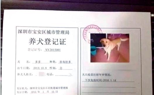 北京动物健康证需要多少钱 办狗证手续流程全解答