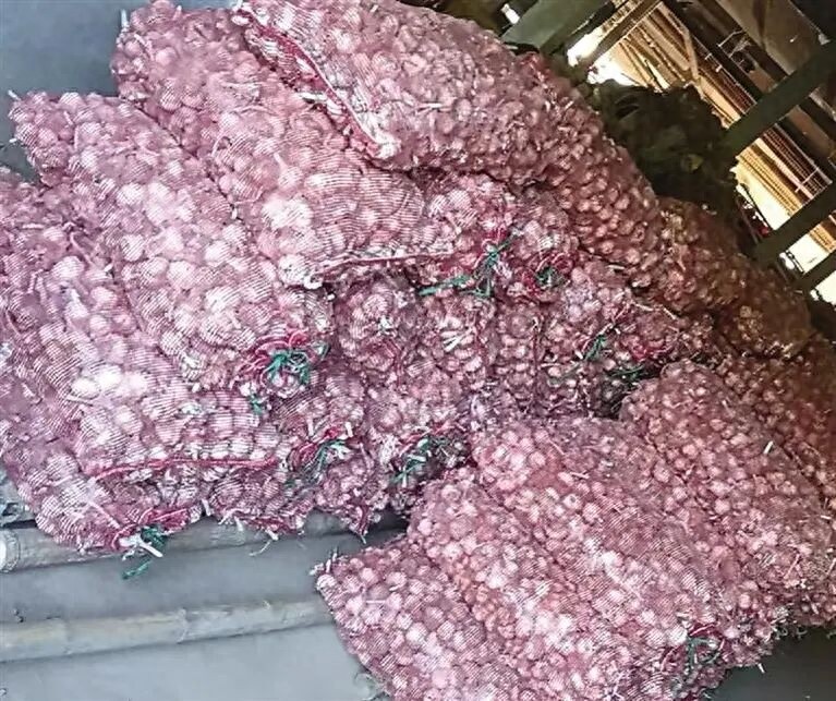 近10年大蒜价格走势图：蒜价波动大，6吨滞销亏本，蒜农该如何应对？